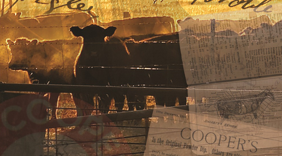 Coopers became part of the cattle industry when in 1901 the government endorsed Coopers cattle dip in the fight against ticks.