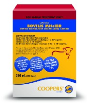 Bovilis MH + IBR