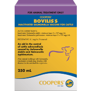 Bovilis S