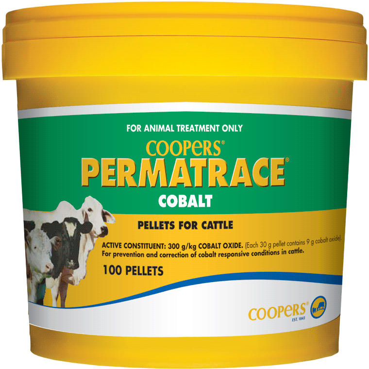 Permatrace Cobalt Cattle