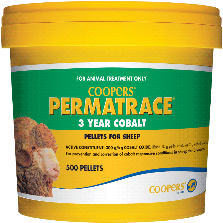 Permatrace Cobalt Sheep