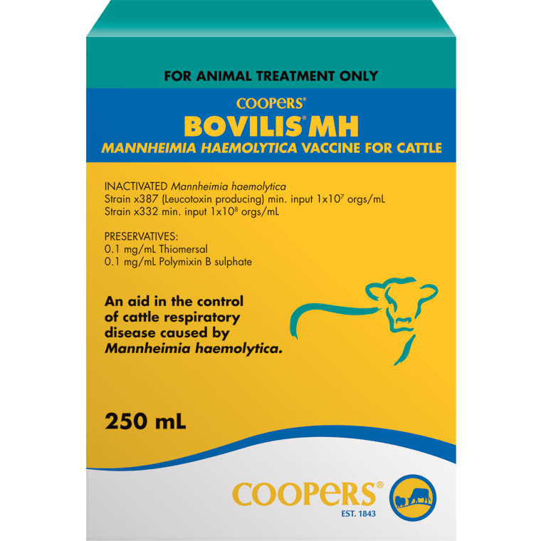 Bovilis MH - Coopers Animal Health Australia