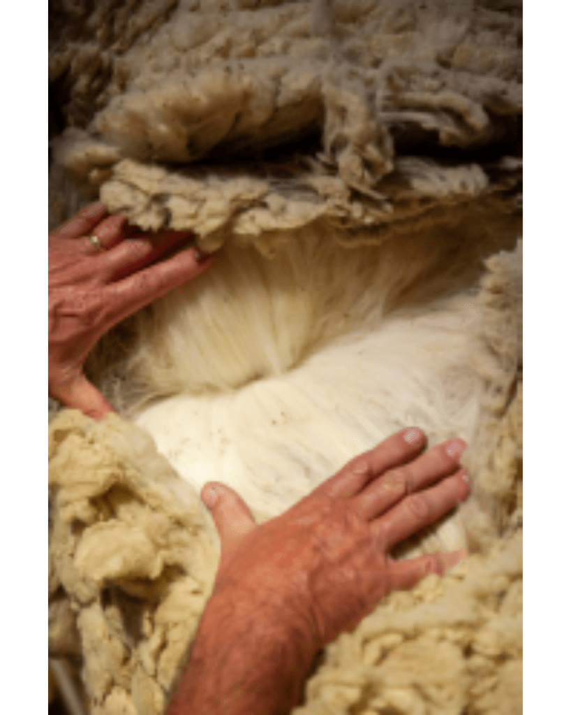 Flexolt First Ever Oral Lice Treatment For Sheep Coopers